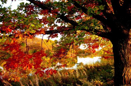 1364337-bigthumbnail.jpg