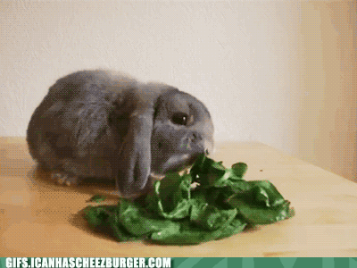 BObWXYmZTEaWBWnNJiyH1Q2.gif