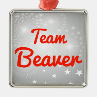 team_beaver_ornament-r3eb745736e214d22921480c6e7683c52_x7s2p_8byvr_324.jpg