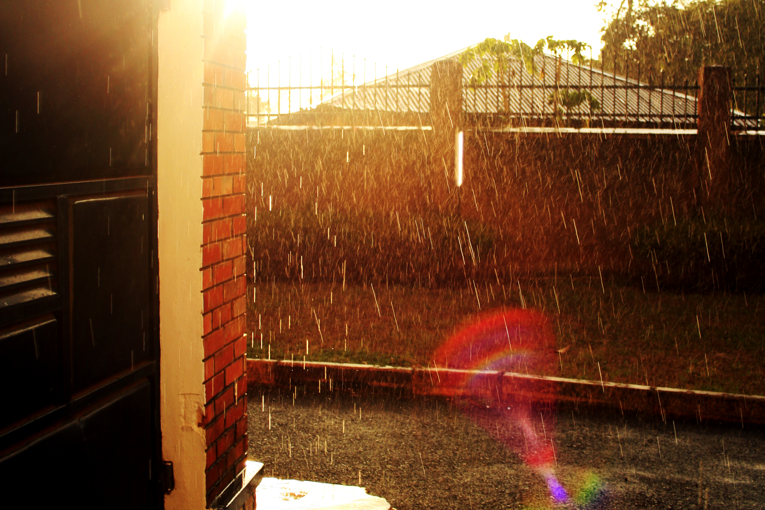 rain.jpg
