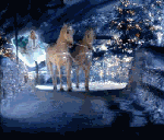 z225685903.gif