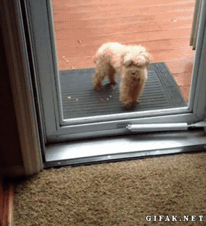 cc.gif