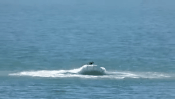 82ddc23f-4289-4807-b77e-258758ba65c6.gif