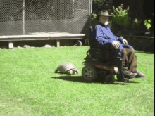 funny-animals-animal-chase.gif