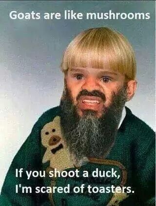 HkrzFzI.jpg