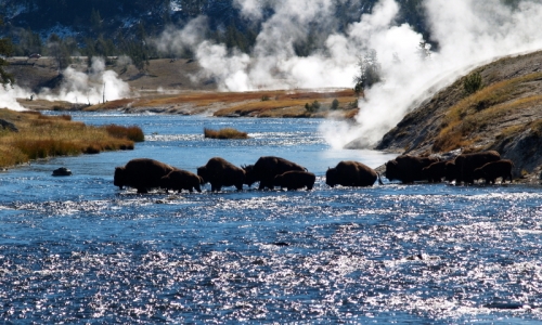 2907_Egvdr_Yellowstone_River_Firehole_md.jpg