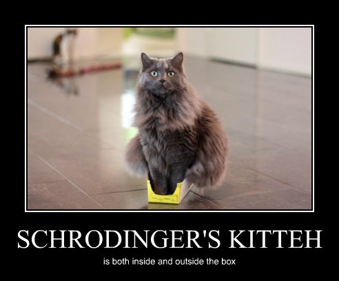schrodingers-kitteh