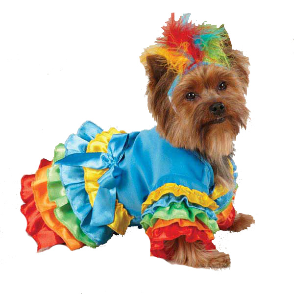 casual-canine-polly-parrot-dog-costume-1.jpg