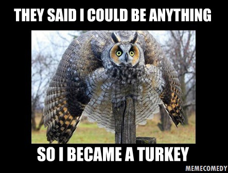 the_owl_turkey_meme_by_memecomedy-d66gfr0.jpg