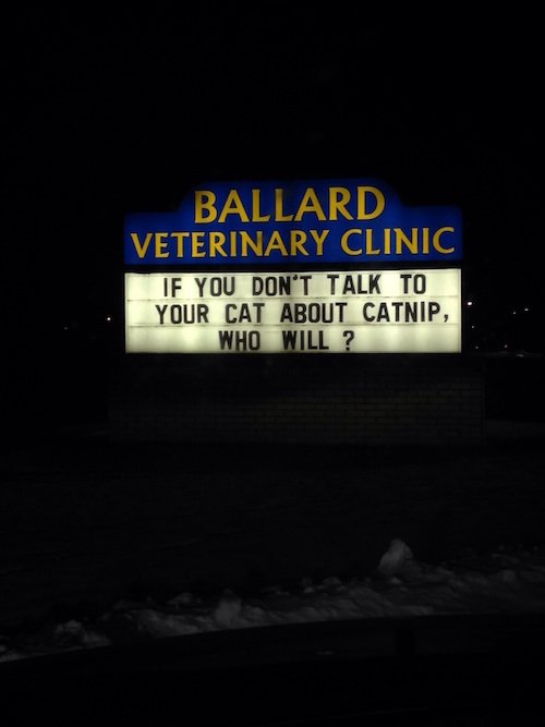 vet-signs-2.jpg