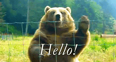 200_s.gif