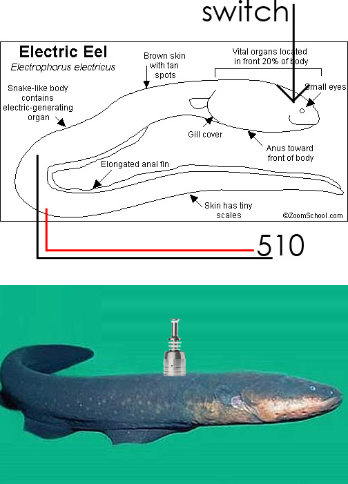 89sk9nc.jpg