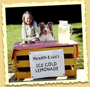 lemonadeStand.jpg
