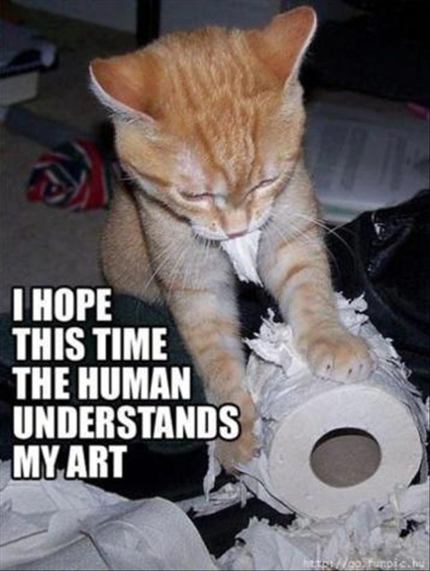 Funny-Cat-Pictures-with-Captions-1.jpg