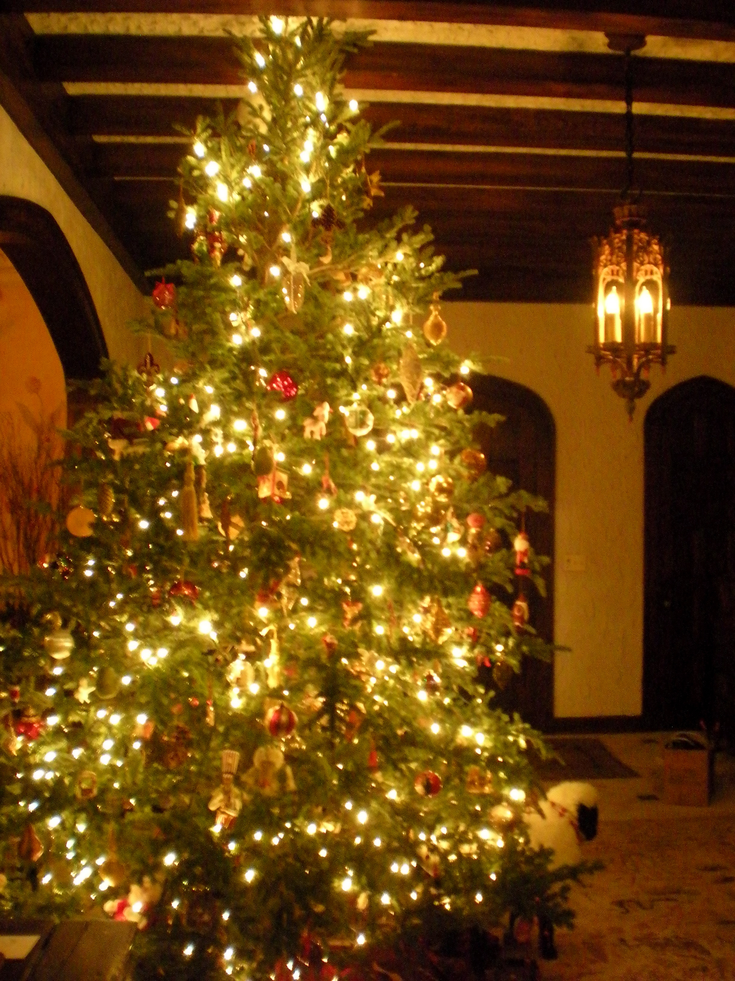 Christmas_Tree.JPG