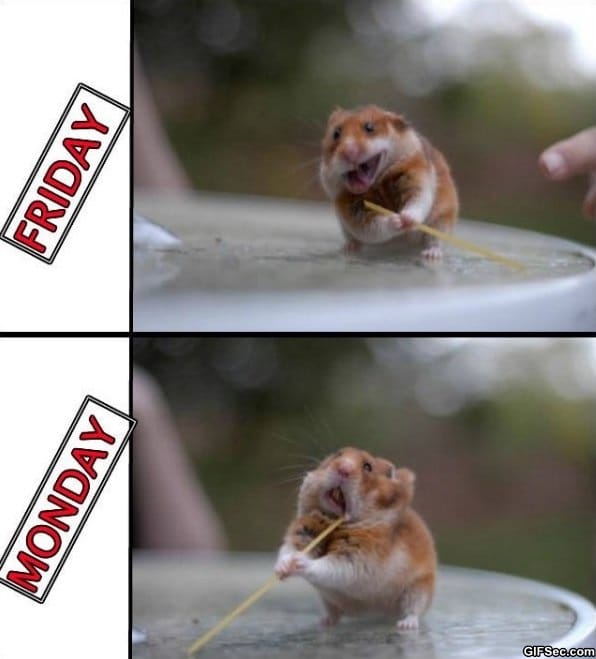 Friday-vs.-Monday.jpg