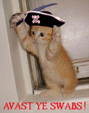 pirate_kitten_03.jpg