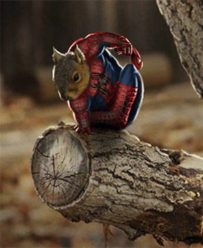spiderman-squirrel.jpg