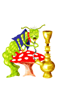 drachen-0042.gif