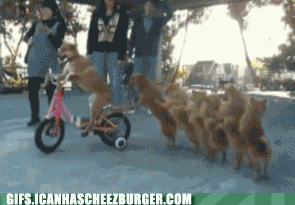 come-on-ride-the-train