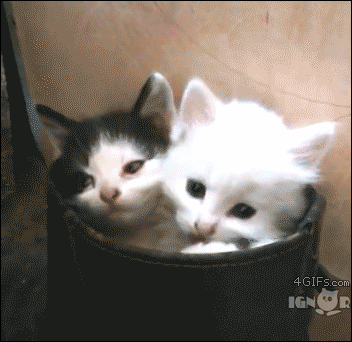 source.gif