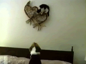 so-thats-why-the-wall-decoration-fell-down