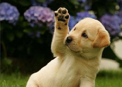 waving-goodbye.jpg