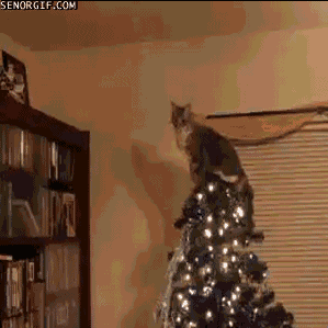 the-best-ornament