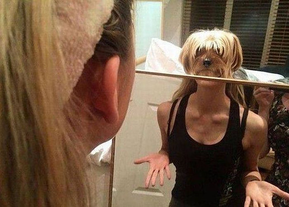 dog-head-blonde-girl.jpg