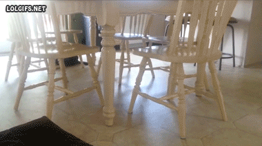 the-things-we-come-up-with-when-were-bored