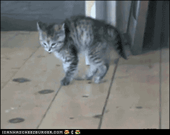 q_HB5qV7FU-4bDk72eByAw2.gif