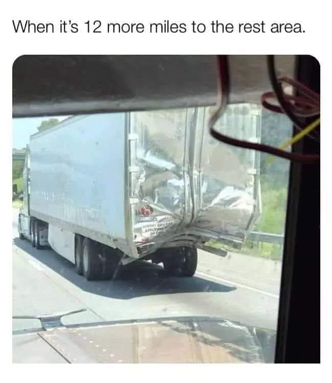 85868077.jpg