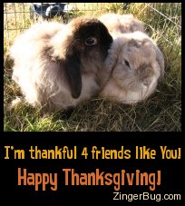 thankful_for_friends_bunnies.jpg