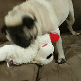 1f31750b016870d84fb54feabafc75e1.gif