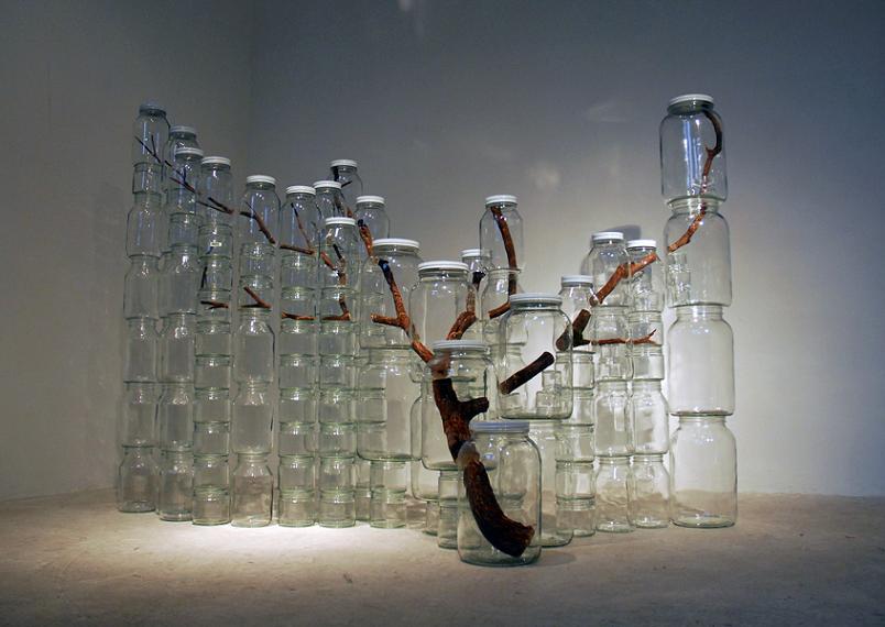 tree-art-in-jars-art-by-naoko-ito.jpg