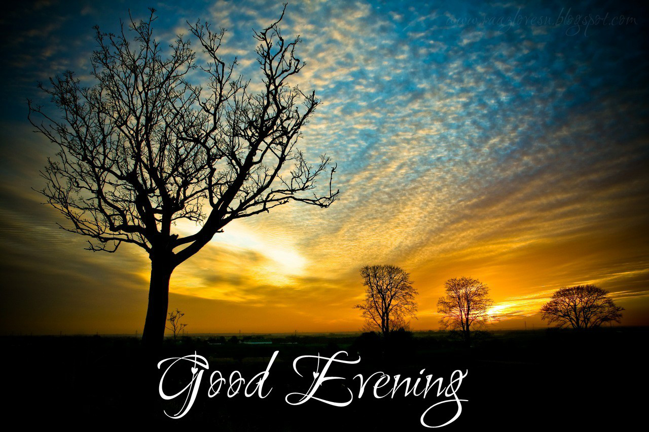good+evening.jpg