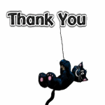 thank-you-black-cat-ag11.gif