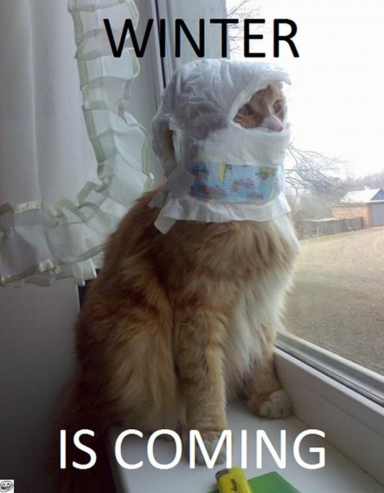 funny-winter-pic.jpg