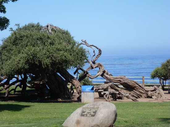 la-jolla-cove.jpg