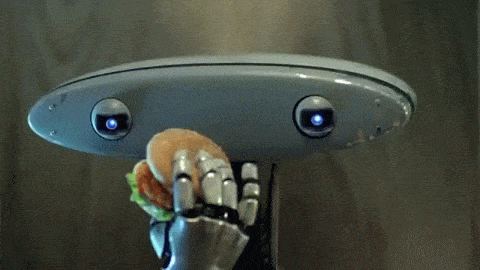g8PVkV.gif