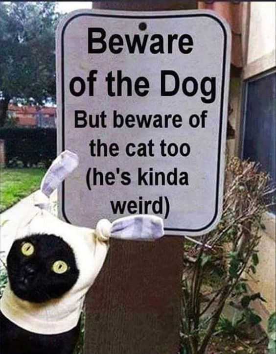 4da20b328b1e9cf4a82524abda996bd4.jpg