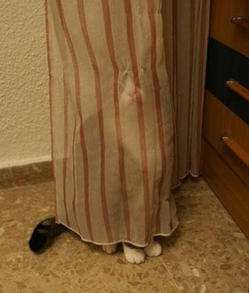 hide-and-seek-2.jpg