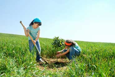 children-planting-tree-arbo.jpg