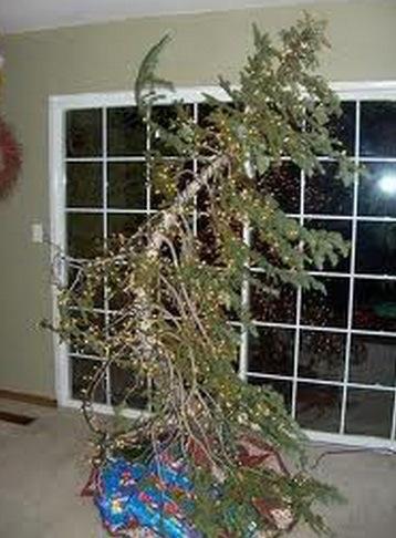 top-10-rather-sad-looking-christmas-trees-L-n8zX4m.jpeg