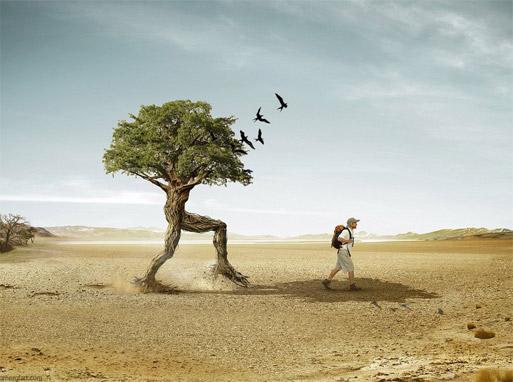 people-tree.jpg