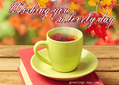 88bb7d4b8014997efe2d45a6c6821a80.gif