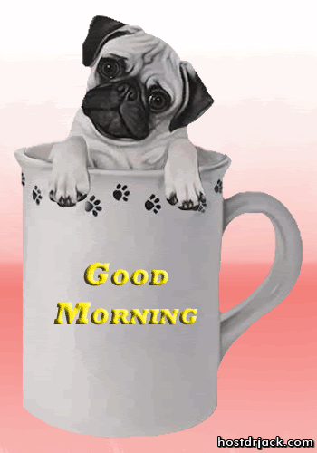 9588f6e21609c037044aea6b8eb3d3f2.gif