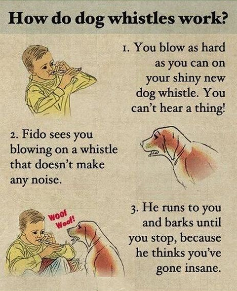 toon_dog-whistle.jpg