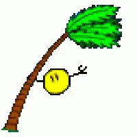hurricane-irma.gif