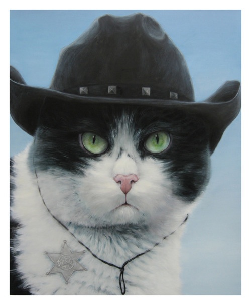 cat17.jpg